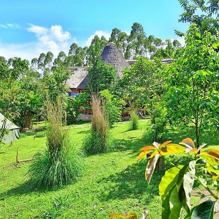 Chimpanzee Capital Safari Lodge Bigodi Экстерьер фото