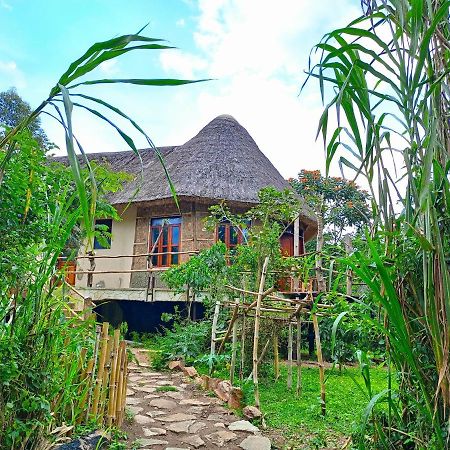 Chimpanzee Capital Safari Lodge Bigodi Экстерьер фото