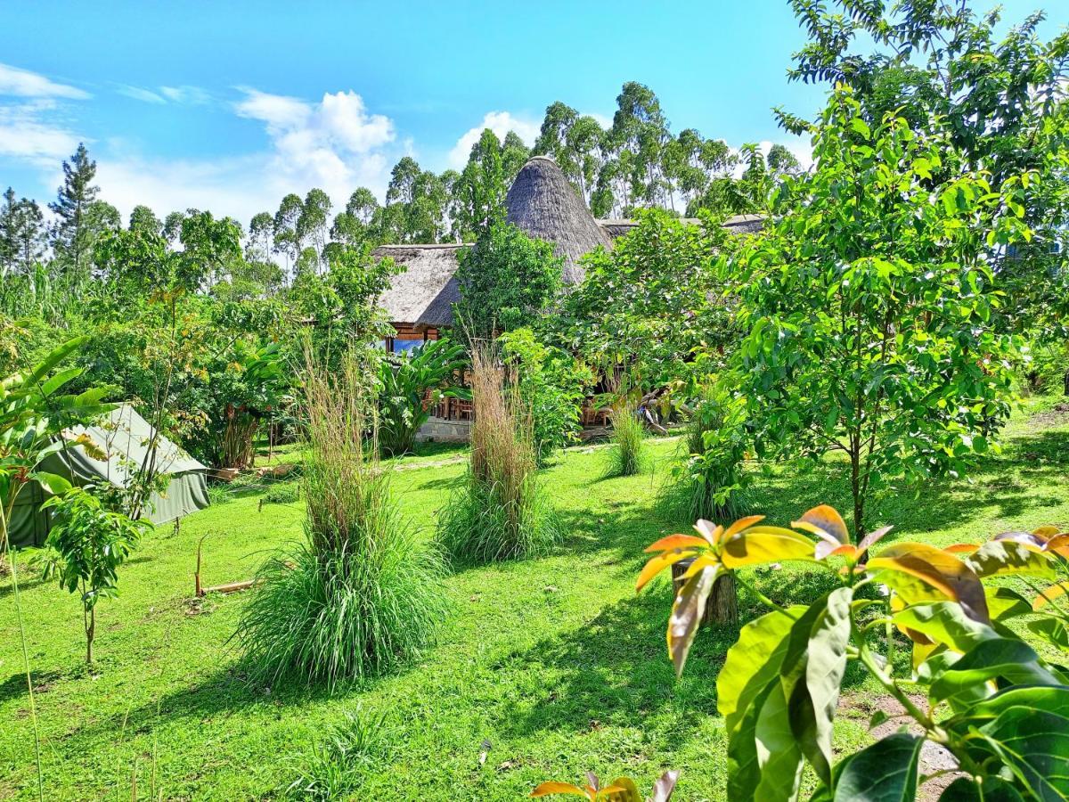 Chimpanzee Capital Safari Lodge Bigodi Экстерьер фото