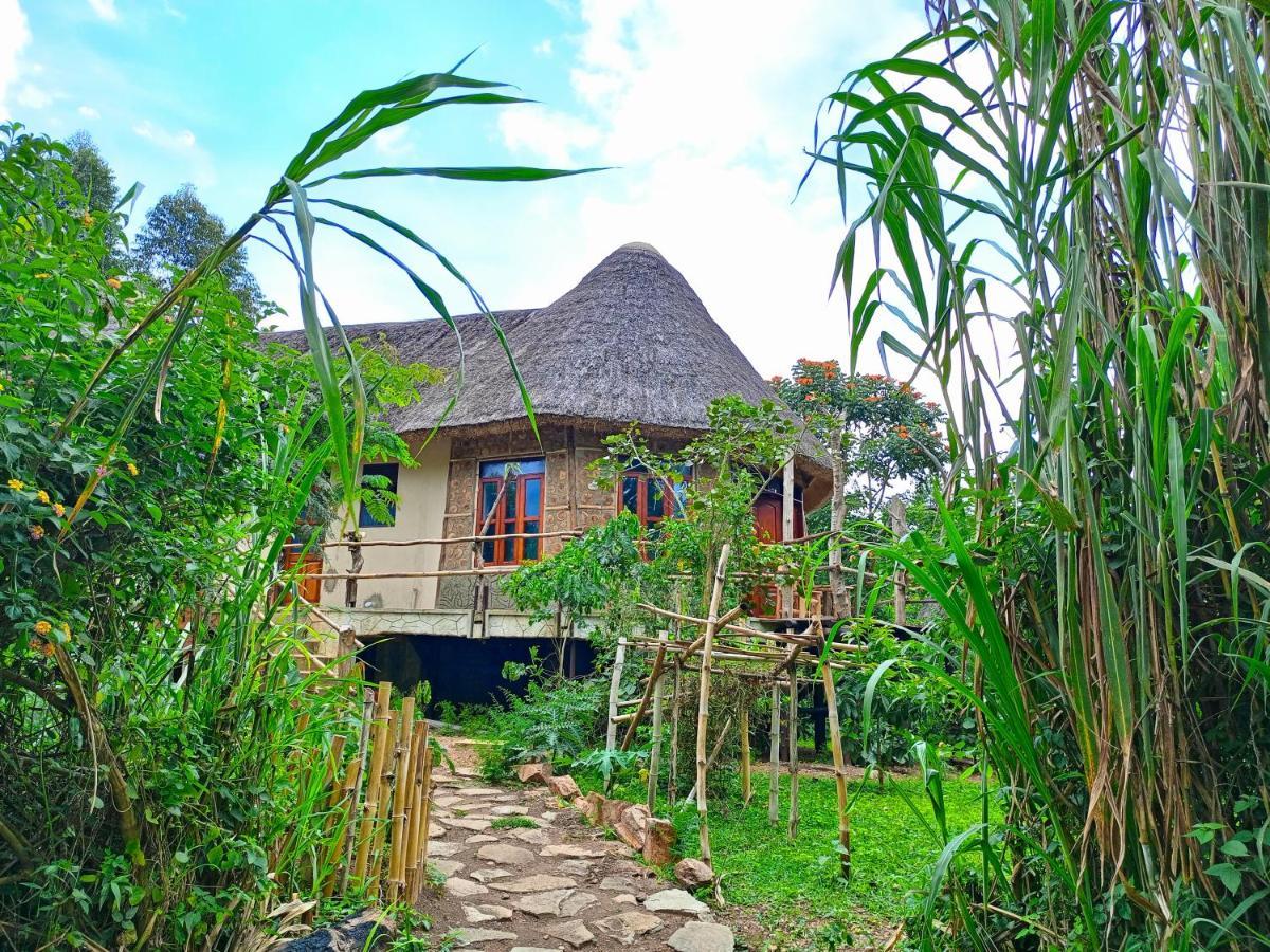 Chimpanzee Capital Safari Lodge Bigodi Экстерьер фото