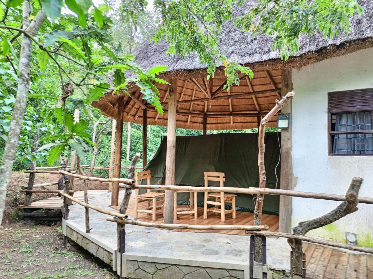 Chimpanzee Capital Safari Lodge Bigodi Экстерьер фото