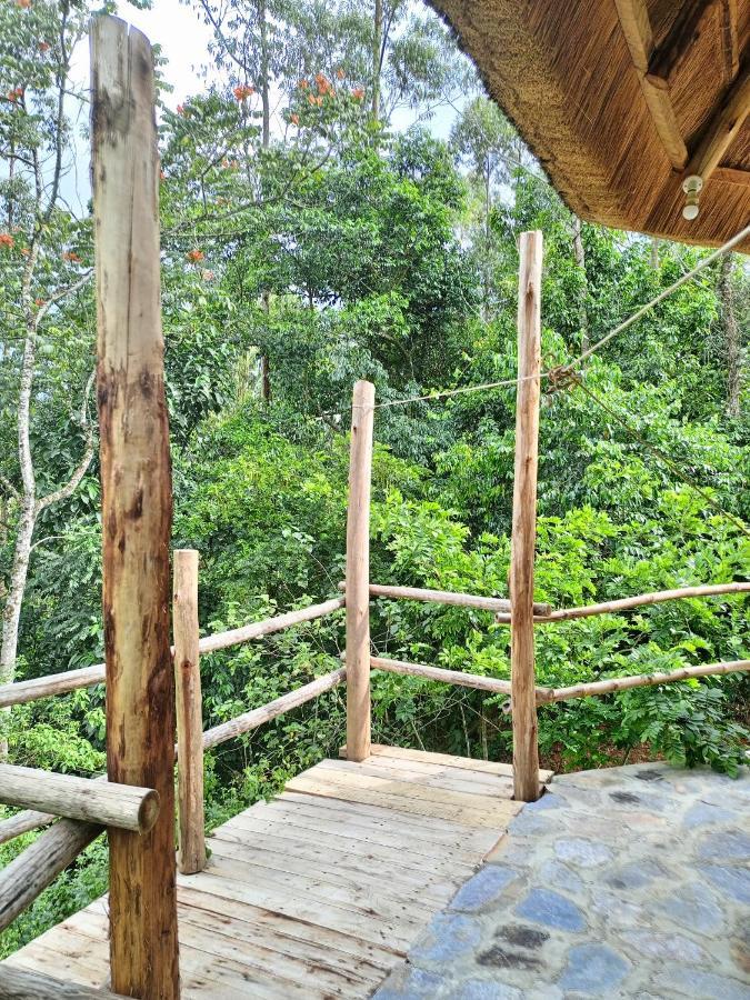 Chimpanzee Capital Safari Lodge Bigodi Экстерьер фото