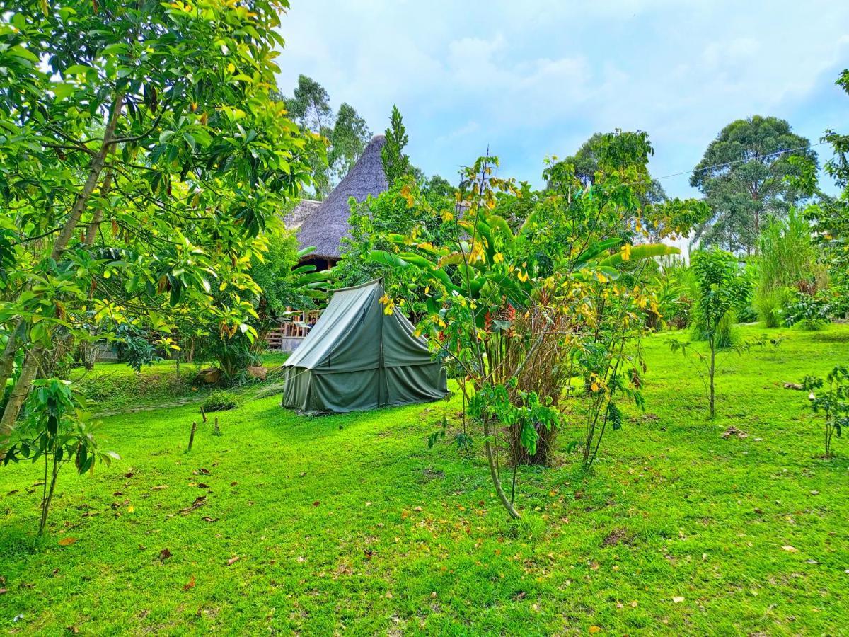 Chimpanzee Capital Safari Lodge Bigodi Экстерьер фото