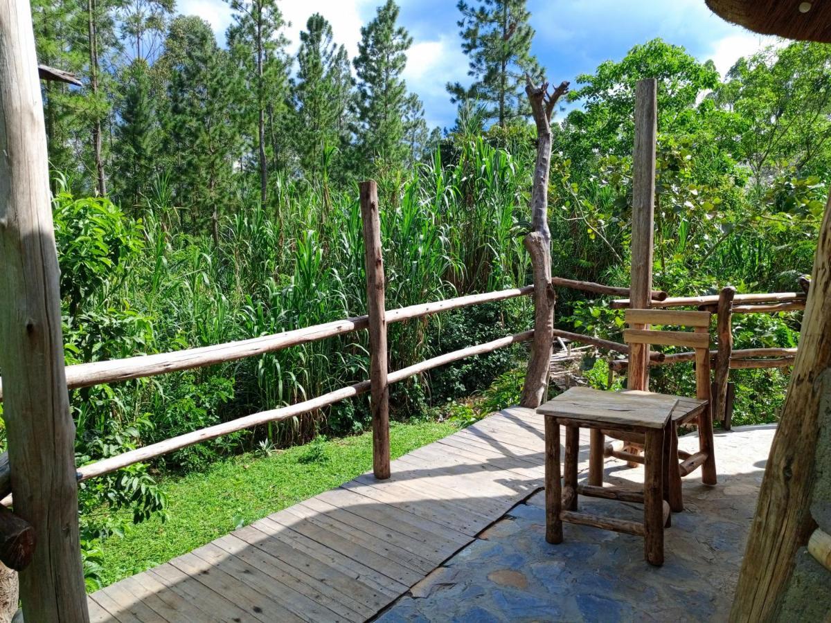 Chimpanzee Capital Safari Lodge Bigodi Экстерьер фото