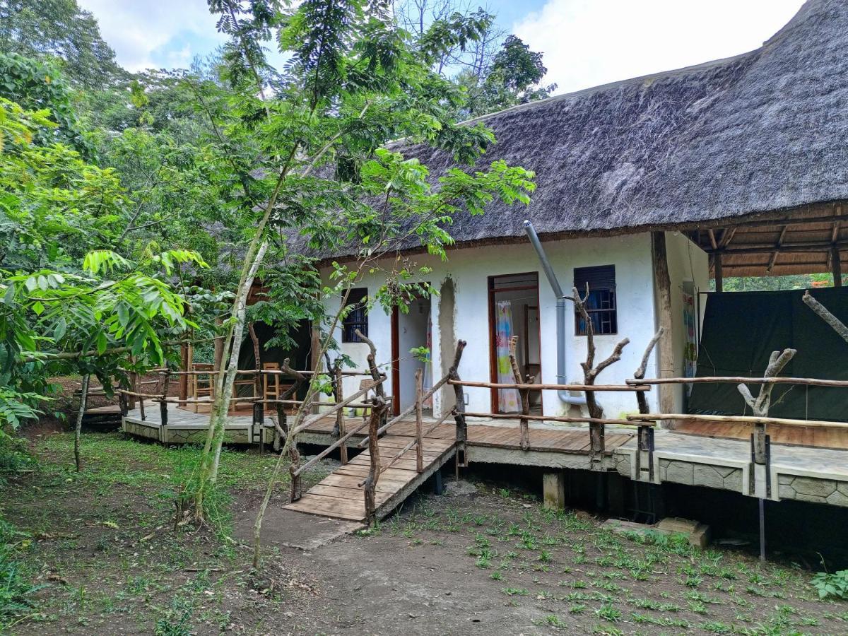Chimpanzee Capital Safari Lodge Bigodi Экстерьер фото