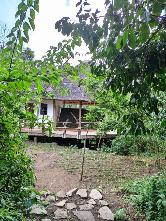 Chimpanzee Capital Safari Lodge Bigodi Экстерьер фото