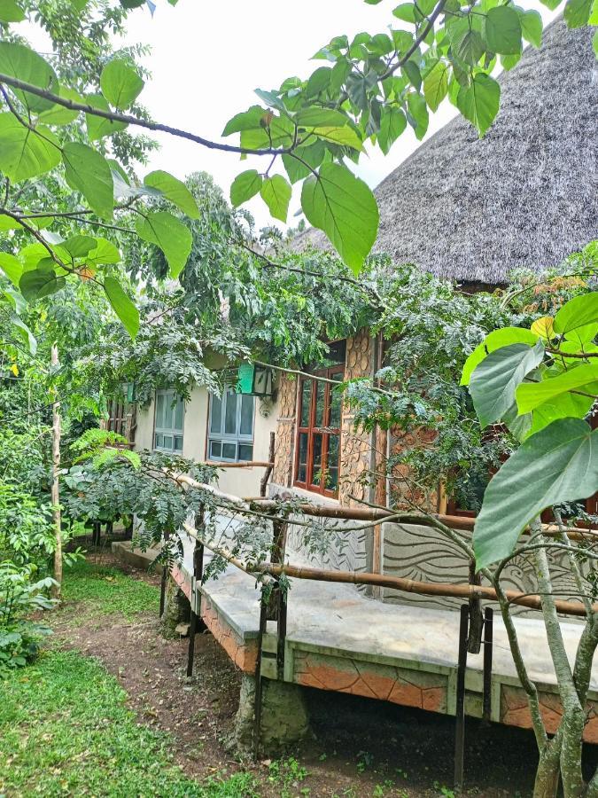 Chimpanzee Capital Safari Lodge Bigodi Экстерьер фото