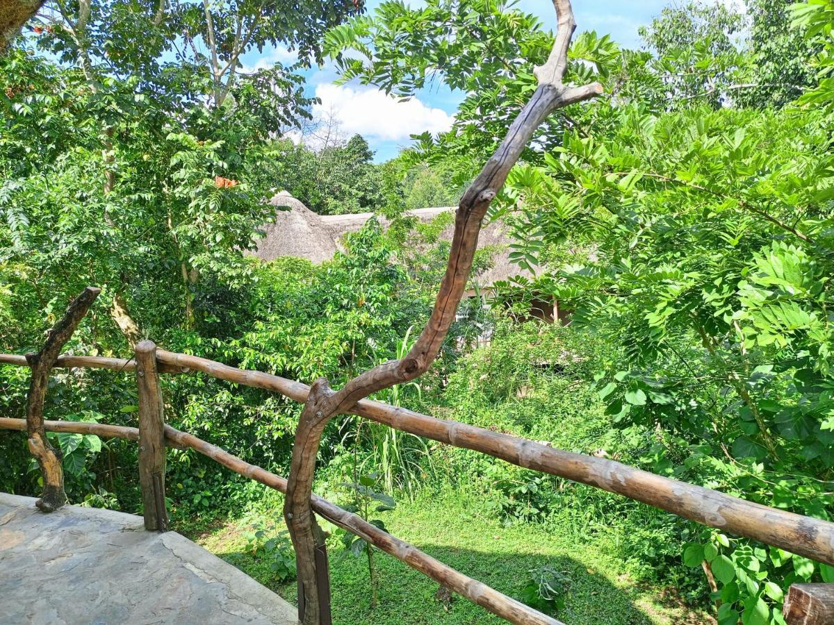 Chimpanzee Capital Safari Lodge Bigodi Экстерьер фото